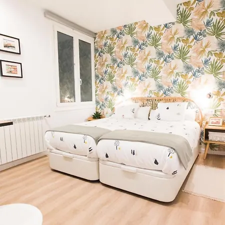 Διαμέρισμα Casa Trueba, Centro Gros, Reformado Y Con Desayuno Σαν Σεμπαστιάν